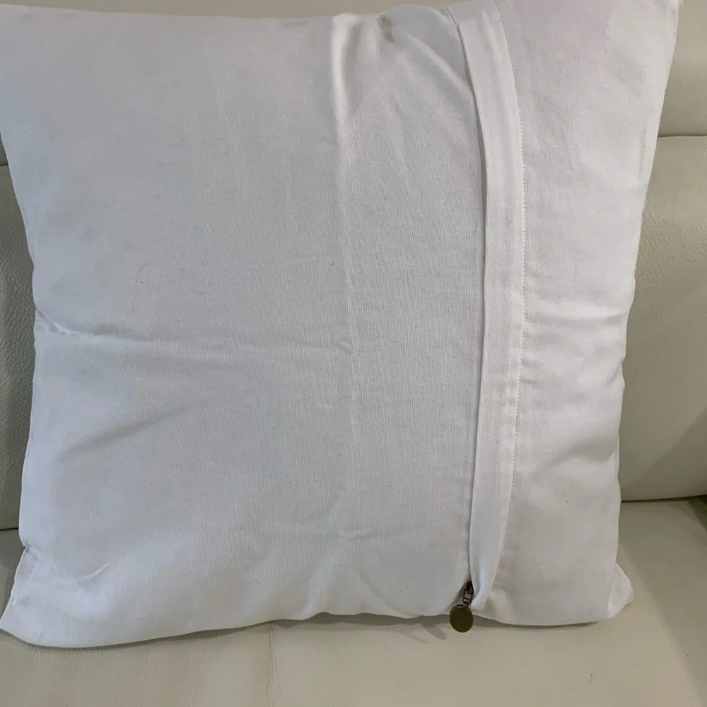 Pier one pillow Case